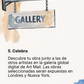 REGALO Winsor & Newton Block de postales
