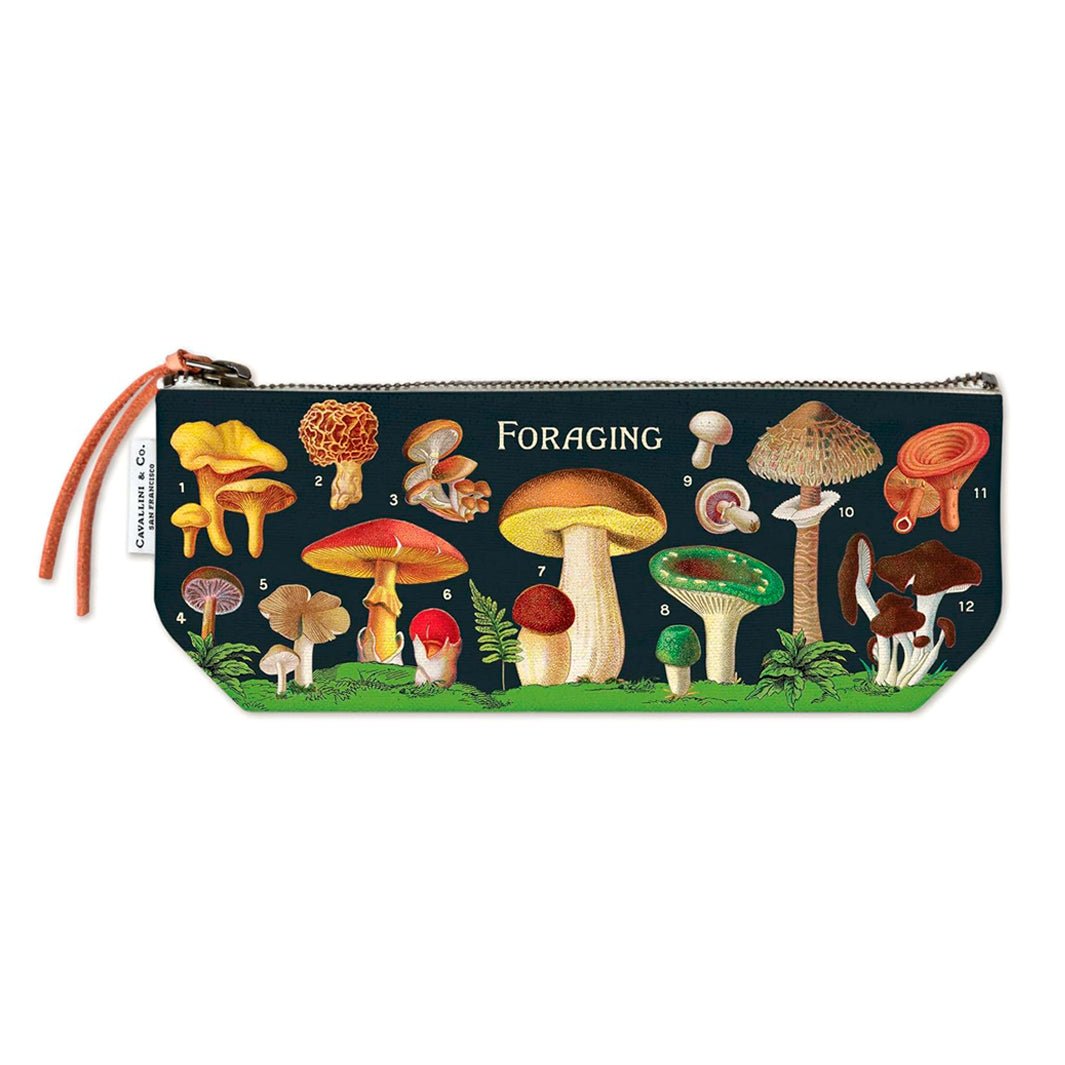 Lapicera Cavallini Foraging