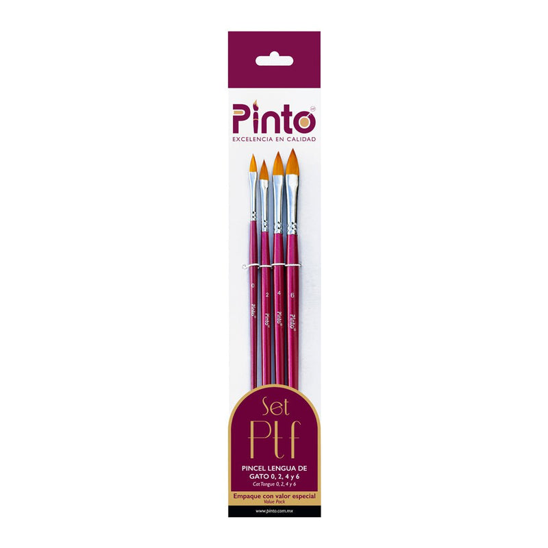 Set Pinceles Pinto PTF
