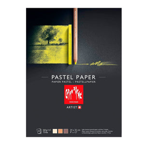 Block Caran D'Ache Pastel