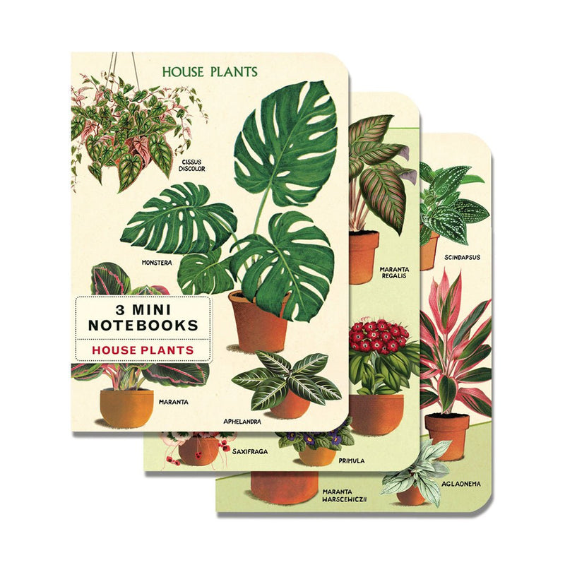 Libretitas Cavallini con 3, Set House Plants