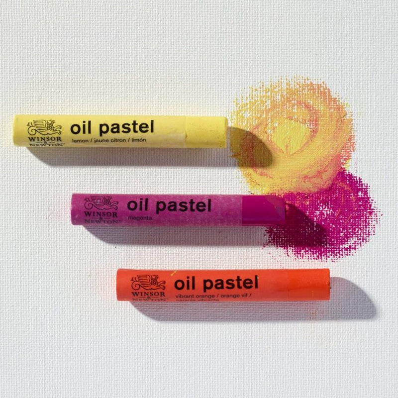 Pasteles al óleo Winsor & Newton Set Introductorio con 30