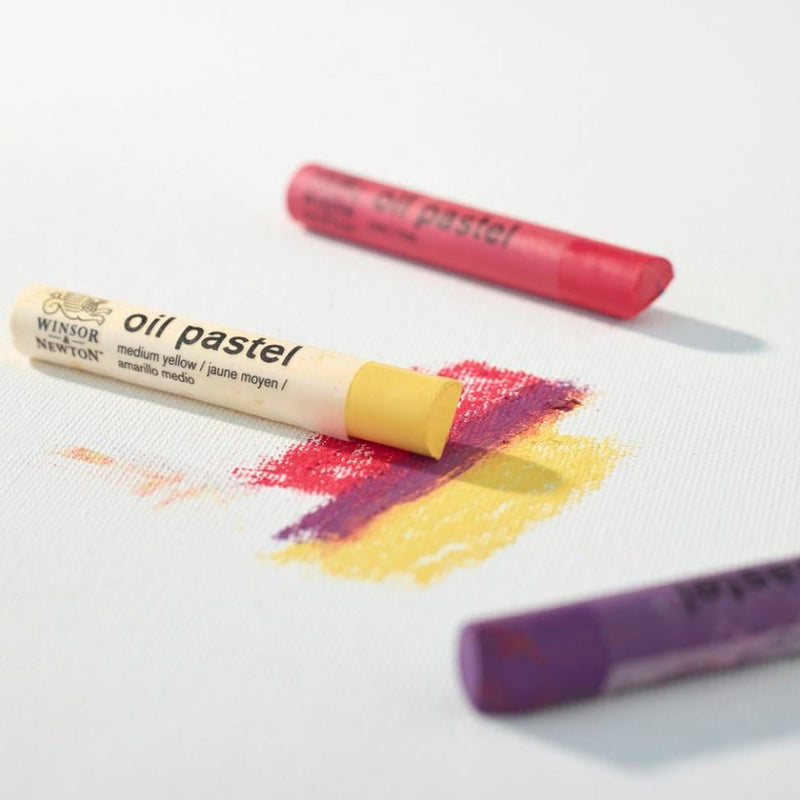 Pasteles al óleo Winsor & Newton Set Introductorio con 30